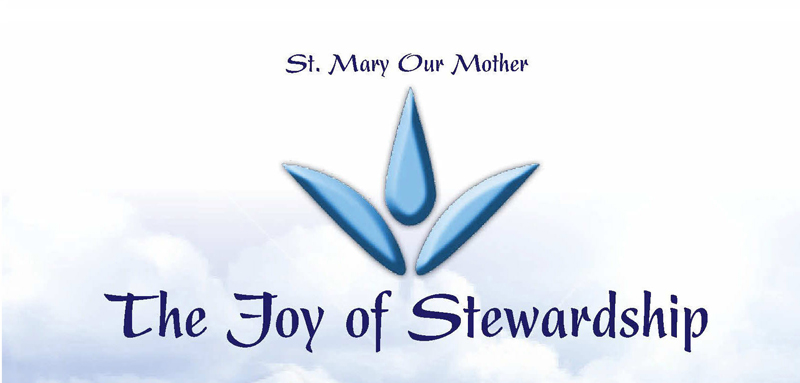 Stewardship Logo